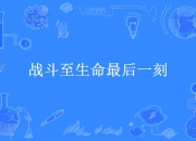 开云体育官网上-持续战斗至最后一刻，球队终获胜利
